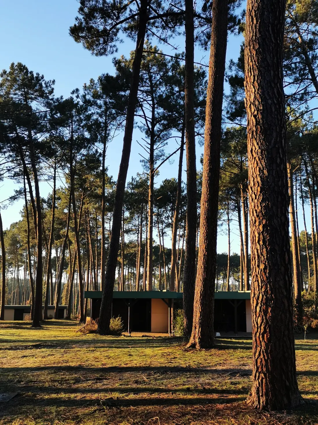 Les Pins Village Vacances2 étoiles★★