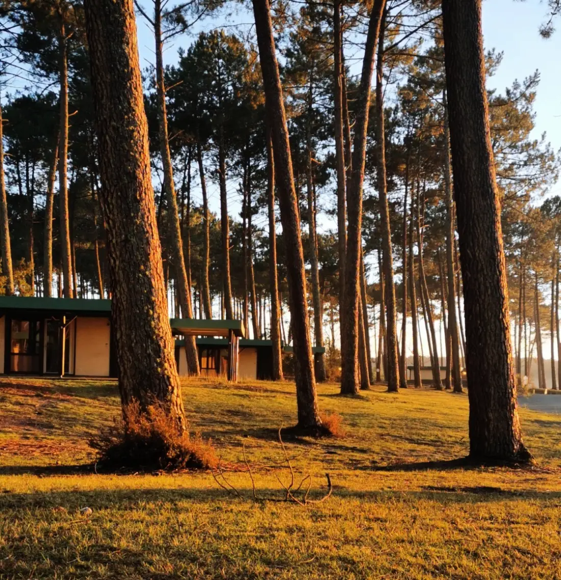 Les Pins Village Vacances2 étoiles★★