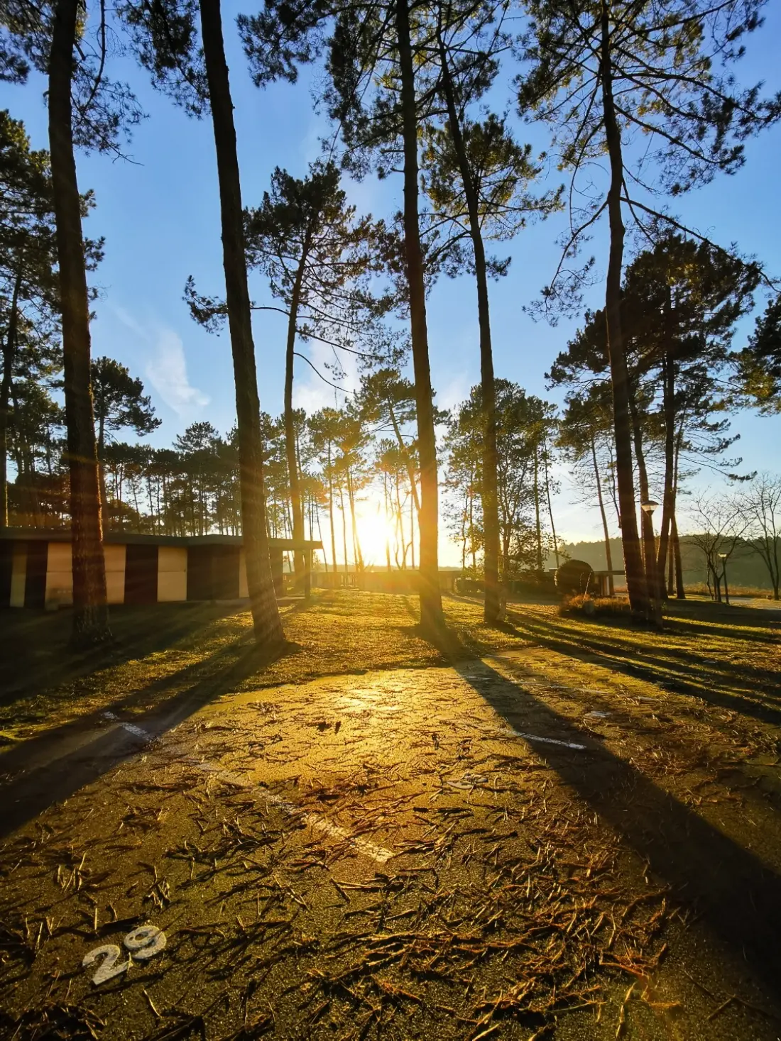 Les Pins Village Vacances2 étoiles★★