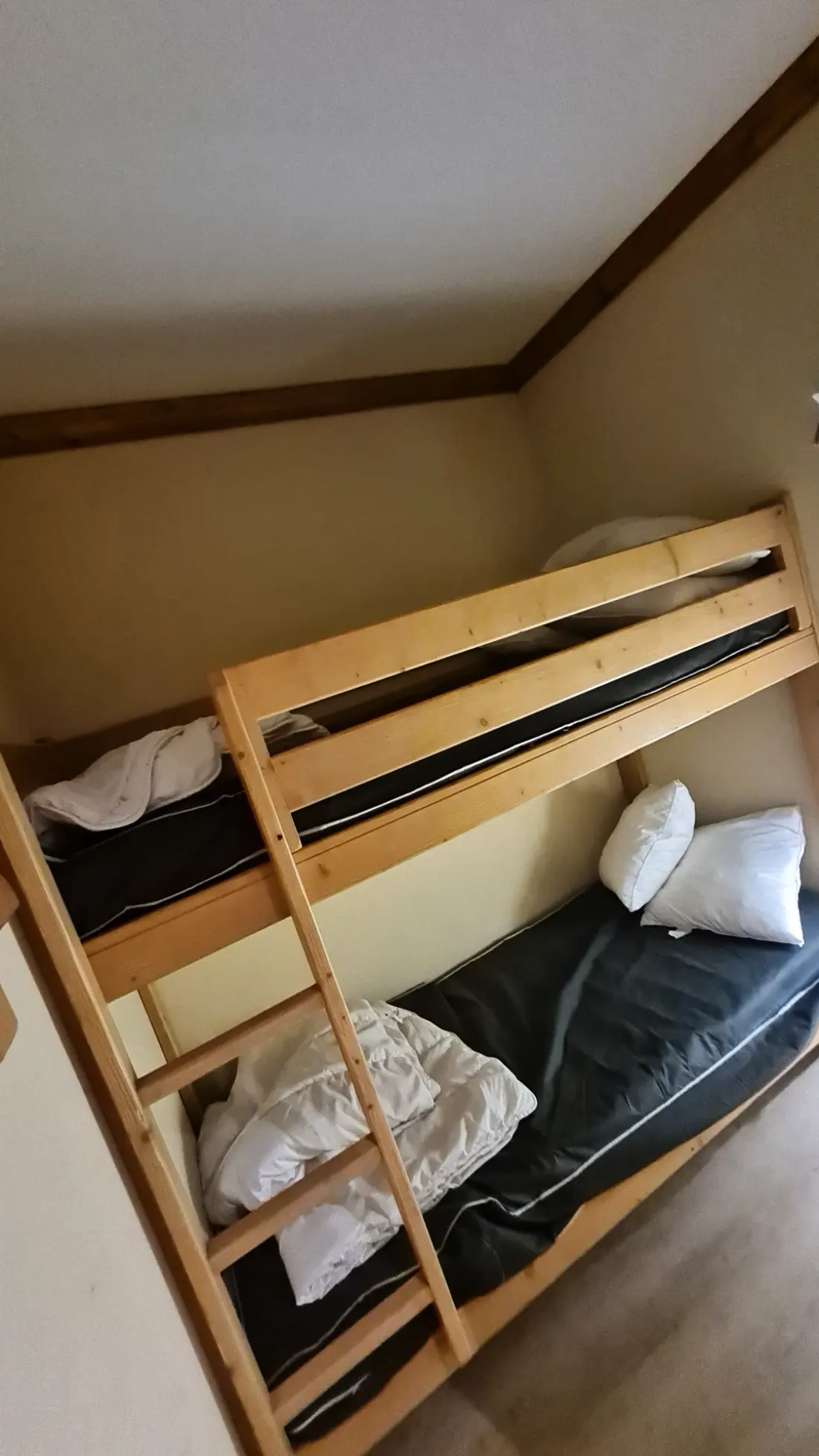 Appartements à Les 2 Alpes