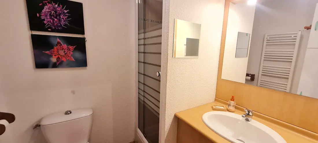 Appartements à Les 2 Alpes