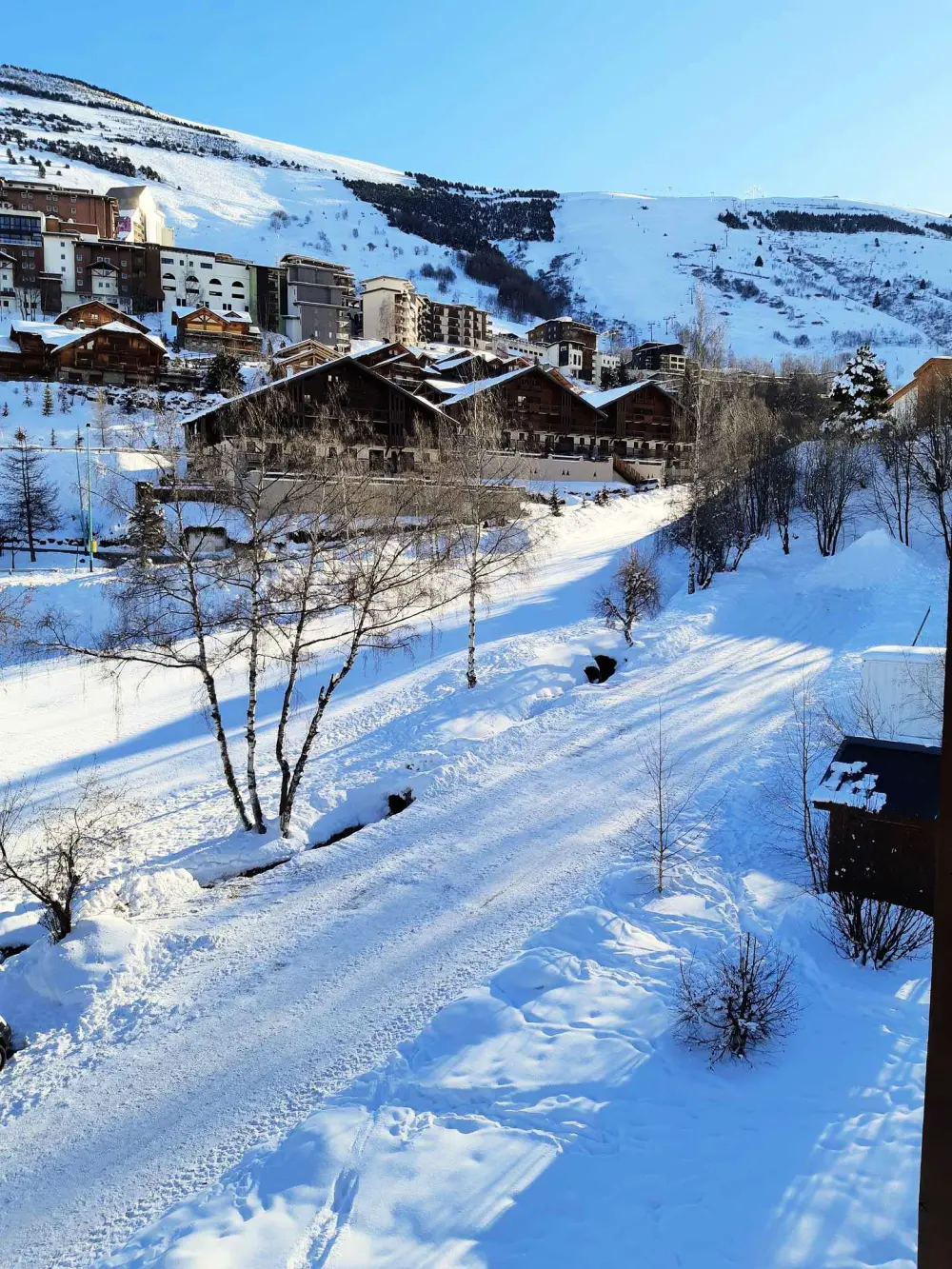 Chalet D'or D