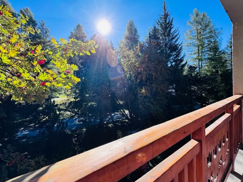 Location de Vacances Les Deux Alpes 231