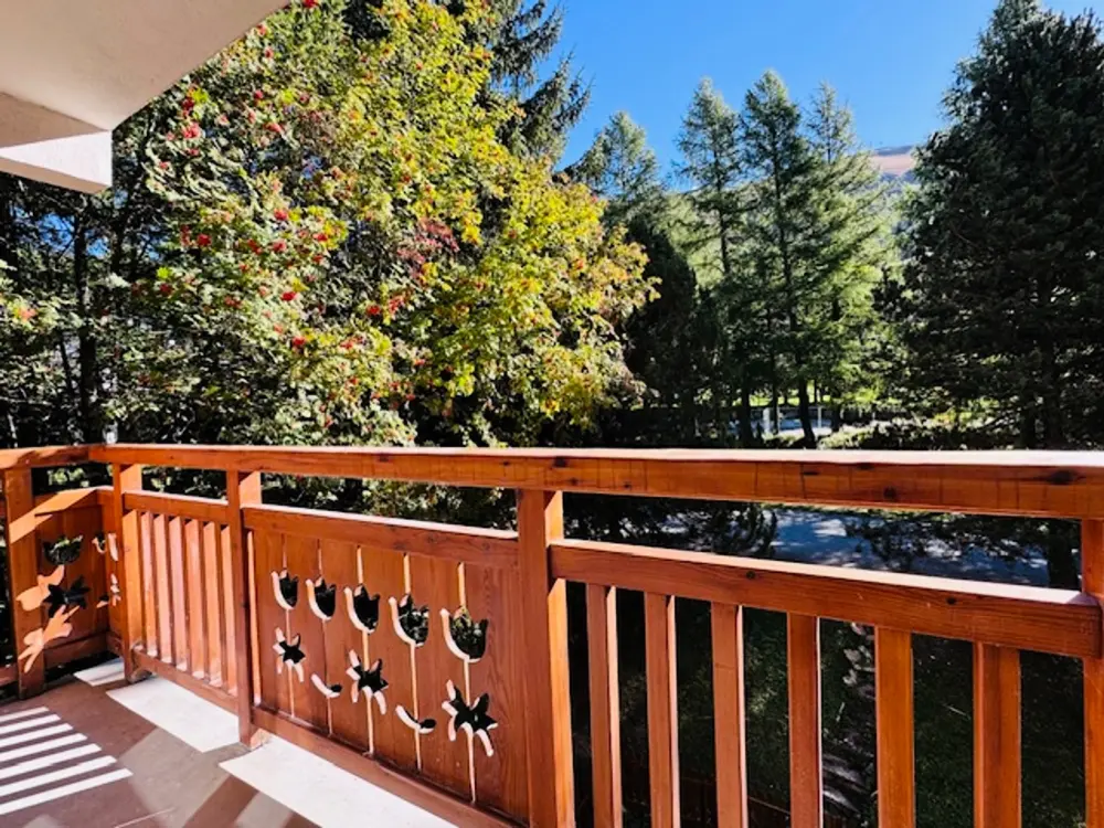 Location de Vacances Les Deux Alpes 231