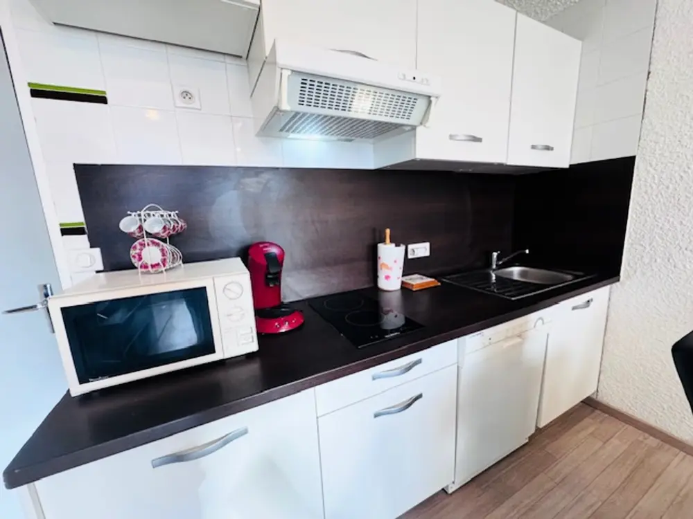 Location de Vacances Les Deux Alpes 232