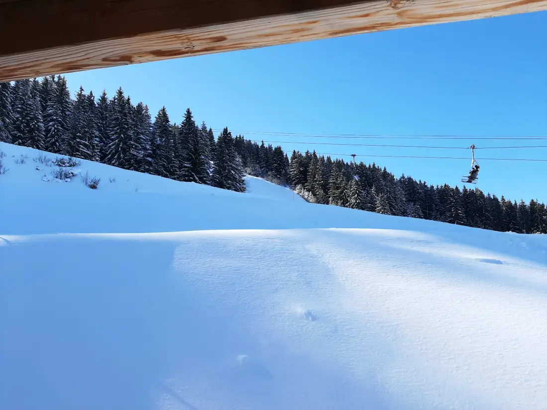 Appartements à Les 7 Laux - Prapoutel