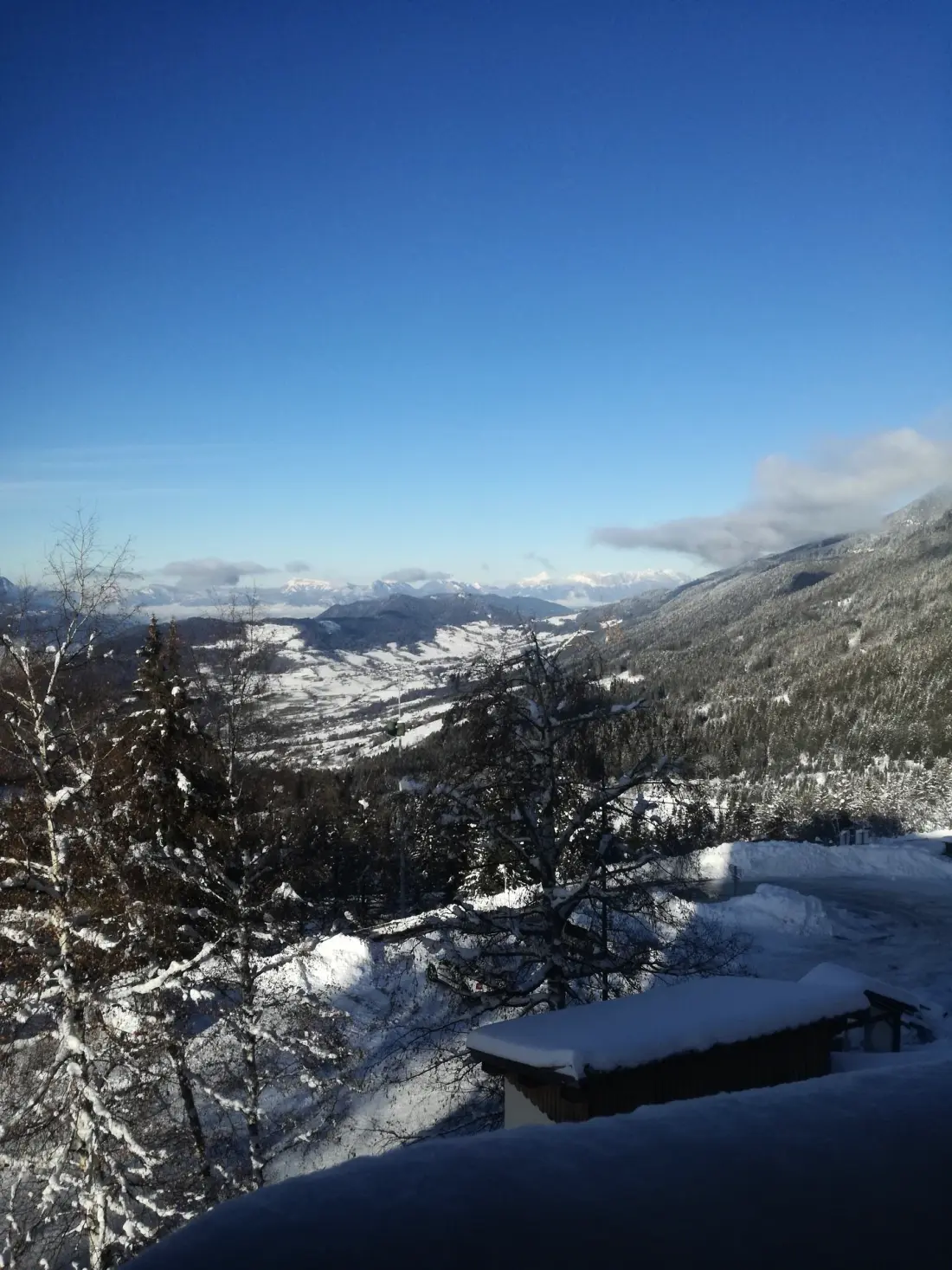 Résidence Chamois 1