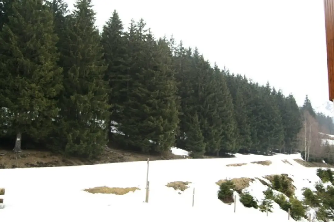 Résidence Perce Neige 1