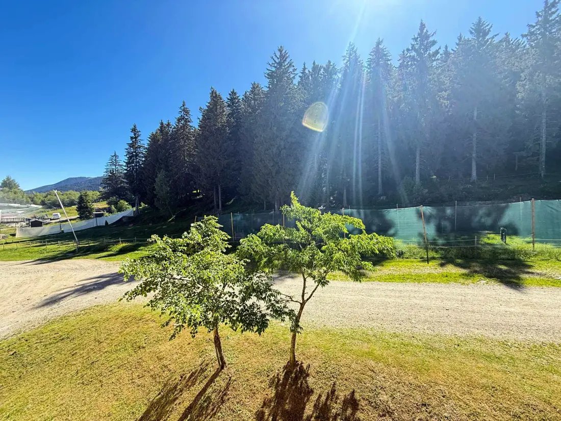 Résidence Sapins 1