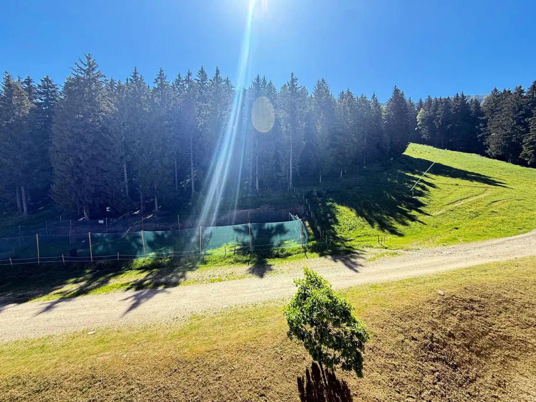 Résidence Sapins 1