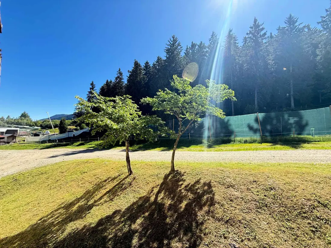 Résidence Sapins 1