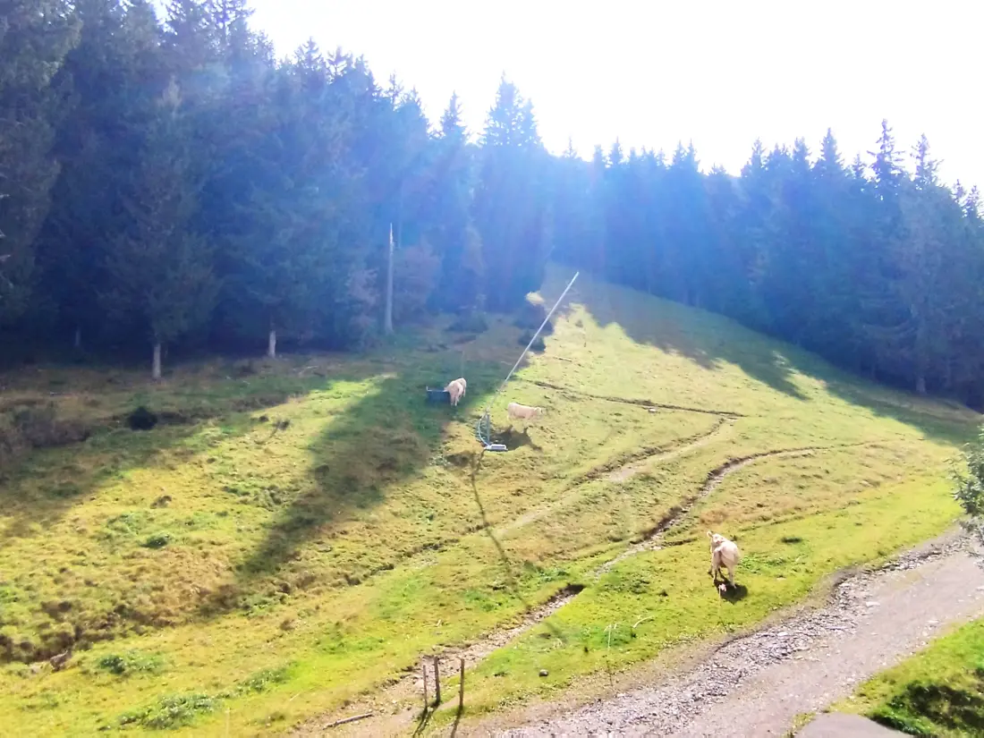 Location de Vacances Les Adrets-Prapoutel 11