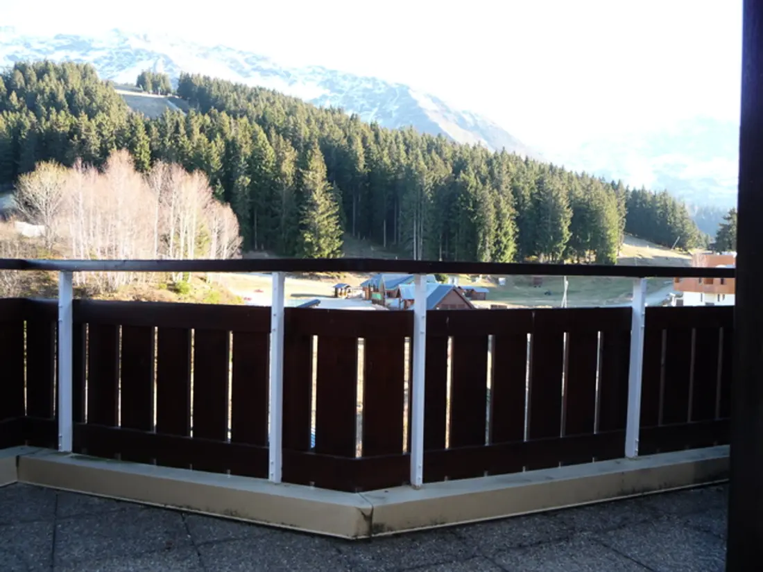 Location de Vacances Les Adrets-Prapoutel 55