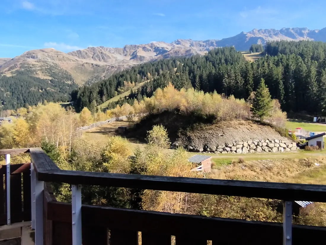 Location de Vacances Les Adrets-Prapoutel 55