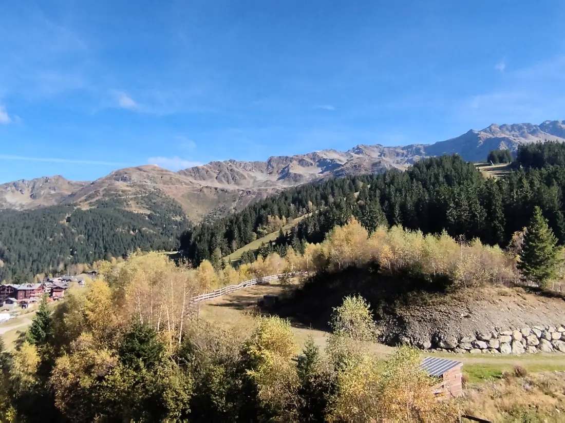 Location de Vacances Les Adrets-Prapoutel 55