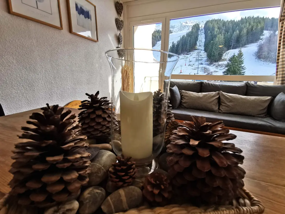 Location de Vacances Les Adrets-Prapoutel 57