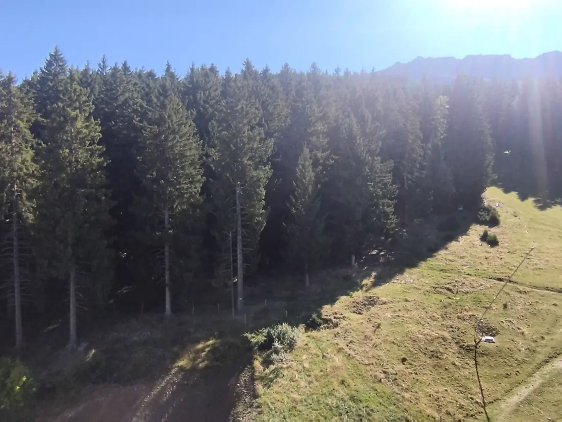 Location de Vacances Les Adrets-Prapoutel 7
