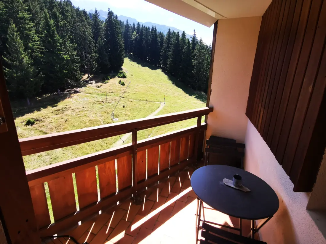 Location de Vacances Les Adrets-Prapoutel 71