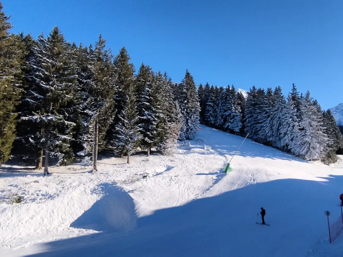 Location de Vacances Les Adrets-Prapoutel 77
