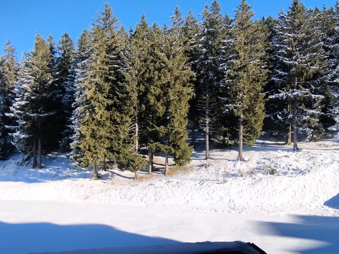 Location de Vacances Les Adrets-Prapoutel 77