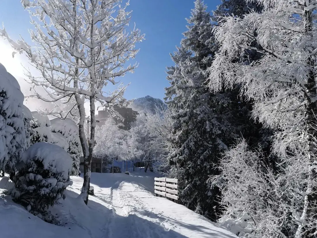 Location de Vacances Les Adrets-Prapoutel 77