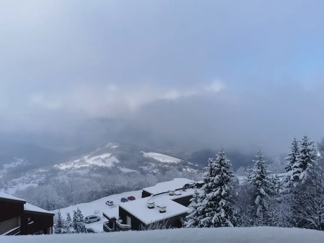 Location de Vacances Les Adrets-Prapoutel 8