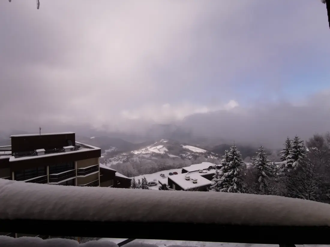 Location de Vacances Les Adrets-Prapoutel 8
