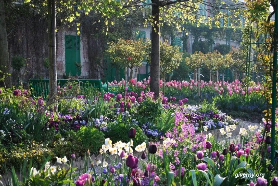 Flower Camping l'Ile des Trois Rois 3 étoiles★★★