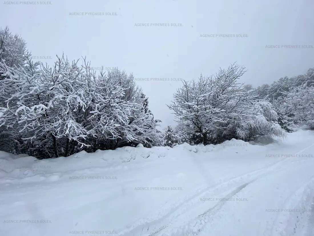 Location de Vacances Les Angles 110
