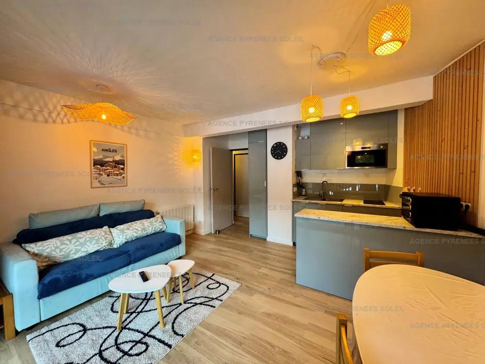 Location de Vacances Les Angles 218