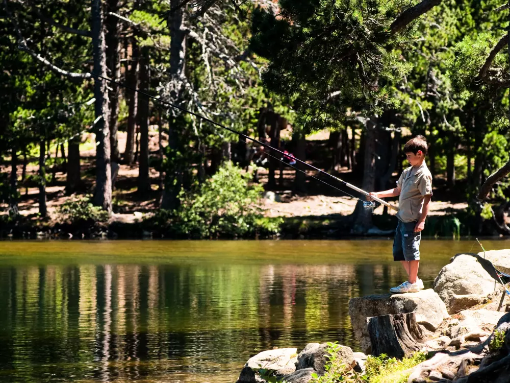 Location de Vacances Les Angles 228