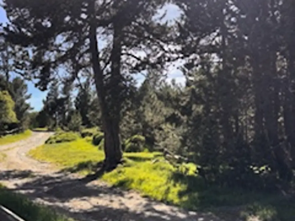 Location de Vacances Les Angles 306