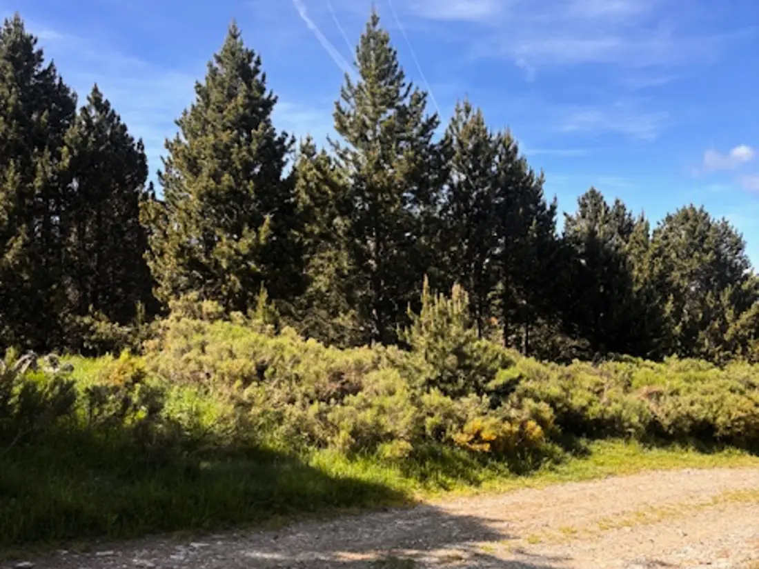 Location de Vacances Les Angles 306