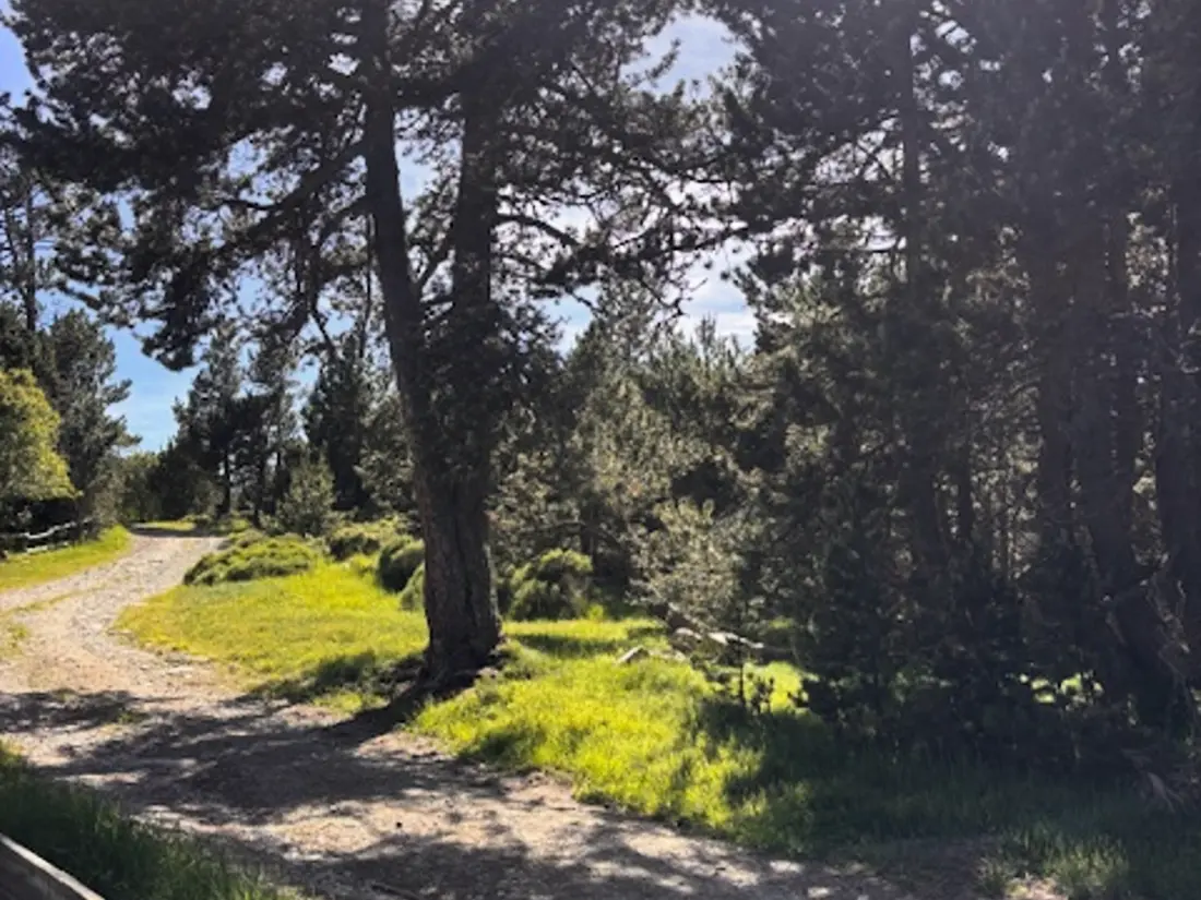 Location de Vacances Les Angles 306
