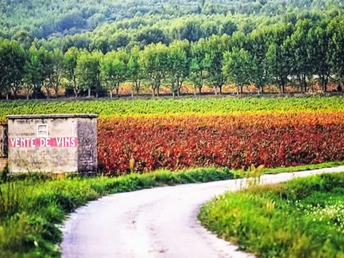 Maison de Vacances Les Arcs sur Argens