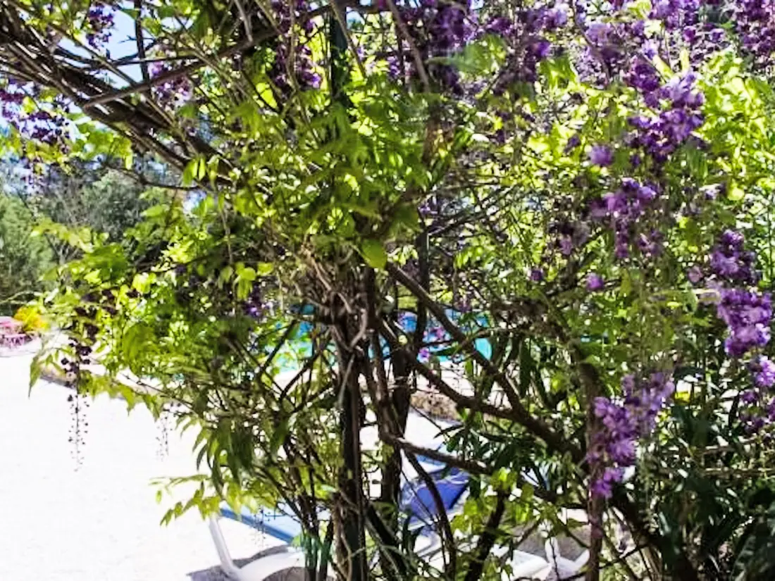 Maison de Vacances Les Arcs sur Argens