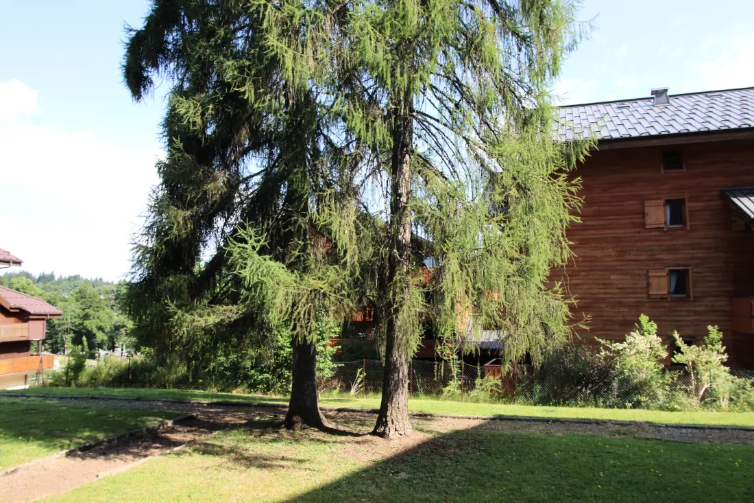 Appartements à Les Carroz-d'Arâches