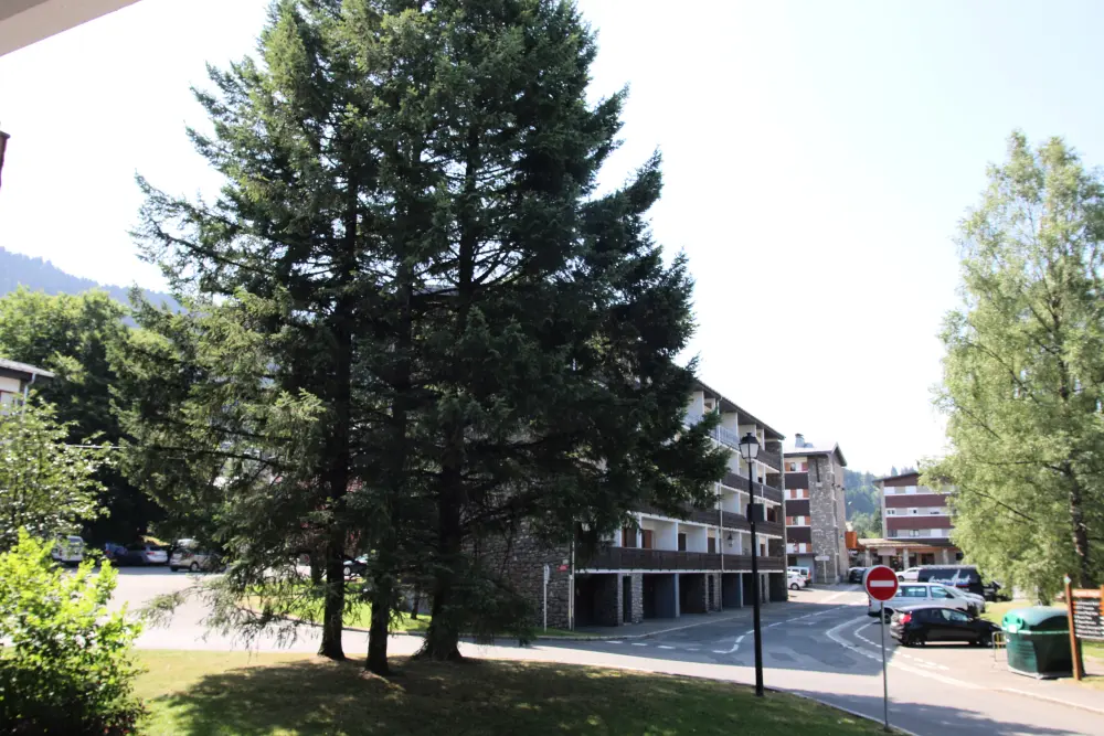 Appartements à Les Carroz-d'Arâches