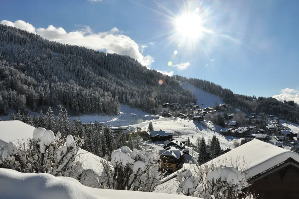 Appartements à Les Carroz-d'Arâches