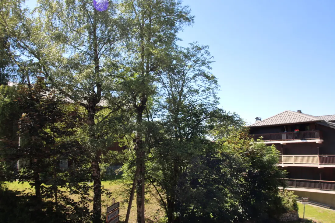 Appartements à Les Carroz-d'Arâches