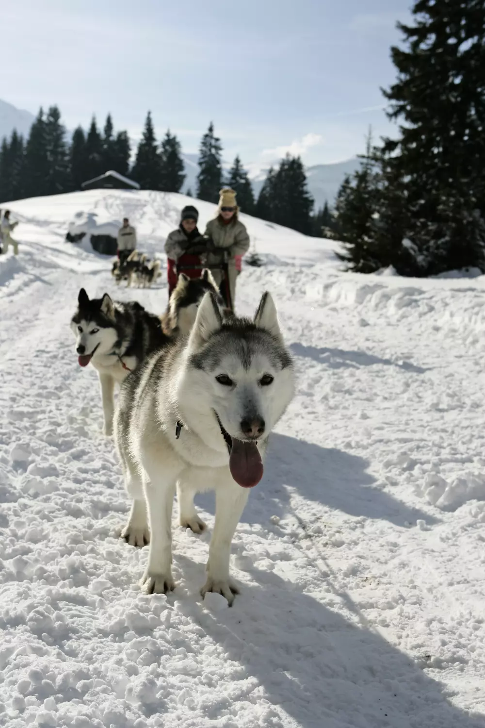 à Les Carroz-d'Arâches