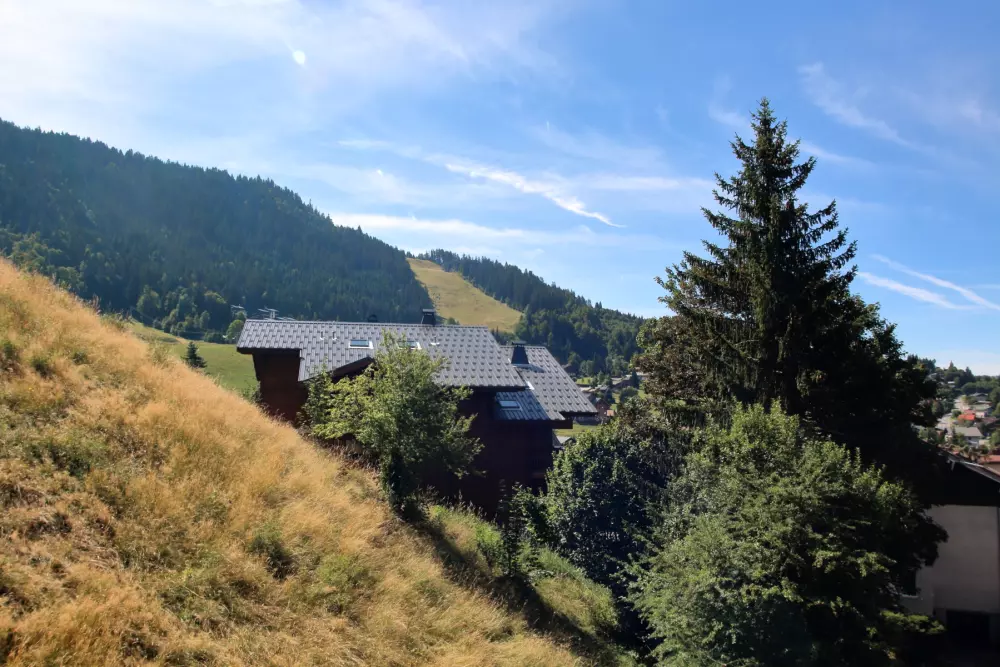 à Les Carroz-d'Arâches