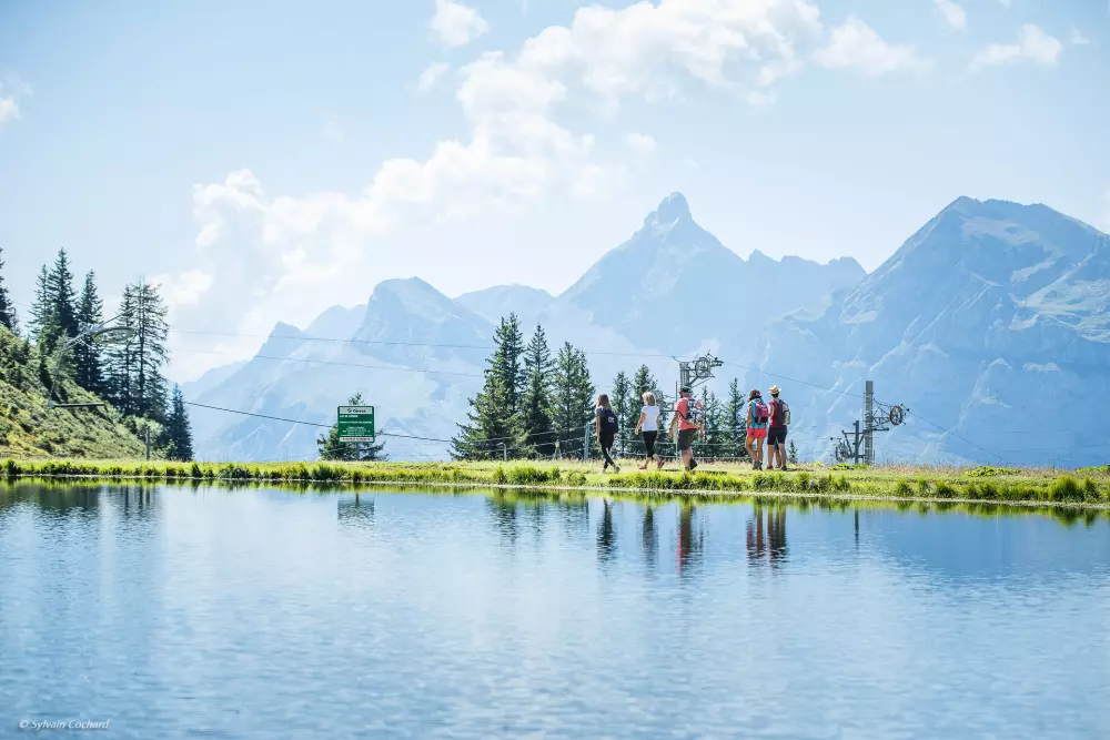 Appartements à Les Carroz-d'Arâches