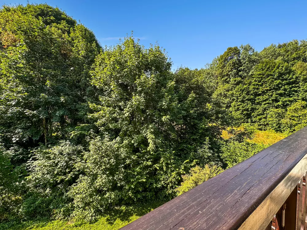 Appartements à Les Carroz-d'Arâches