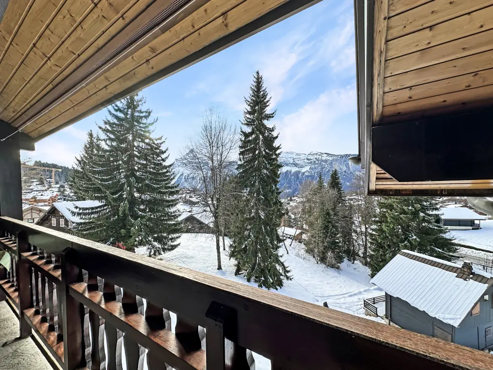 Appartements à Les Carroz-d'Arâches