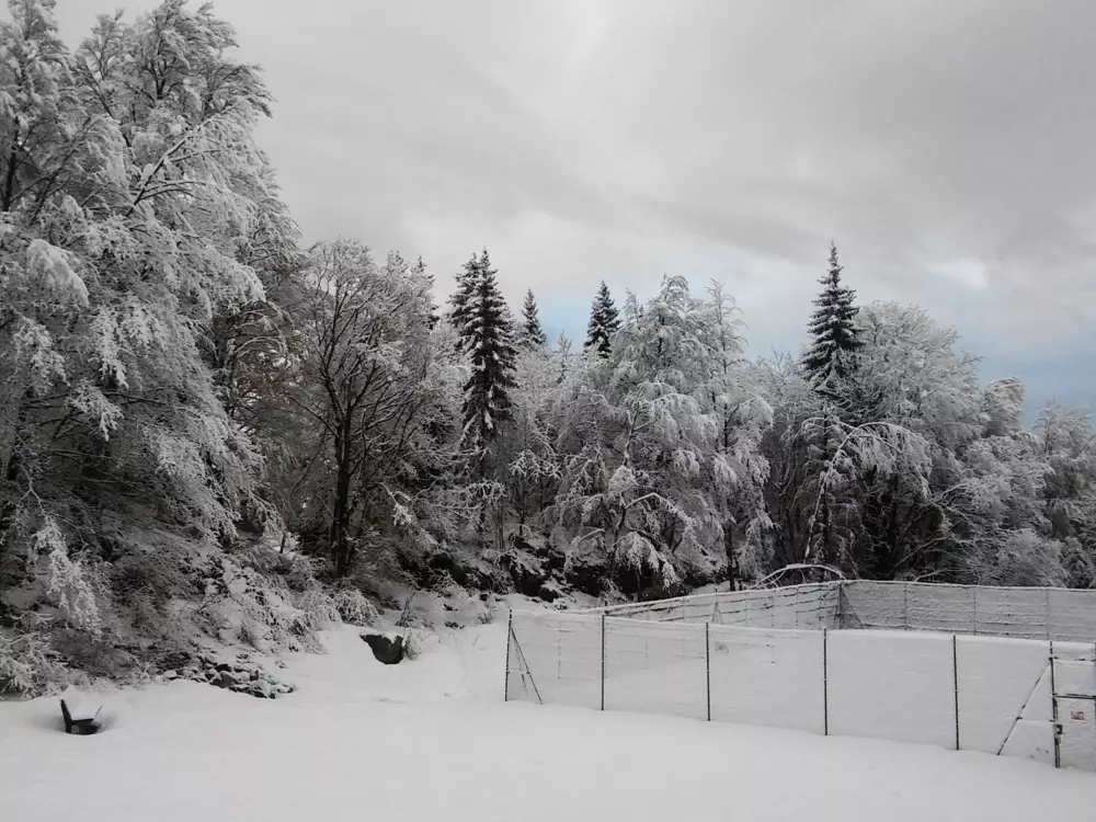 Location de Vacances Les Carroz d'Arâches 131
