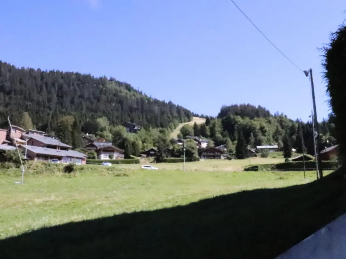 Location de Vacances Les Carroz d'Arâches 136