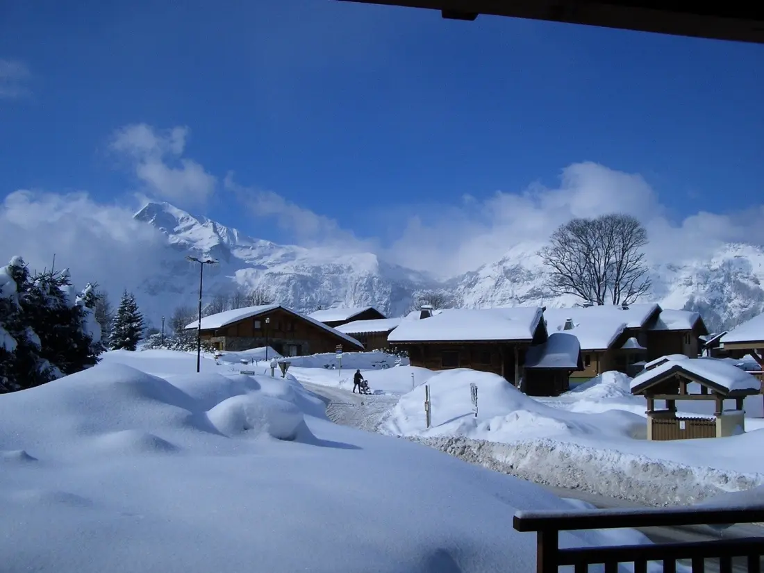 Location de Vacances Les Carroz d'Arâches 151