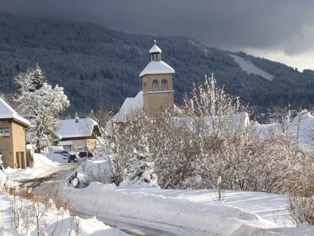 Location de Vacances Les Carroz d'Arâches 186
