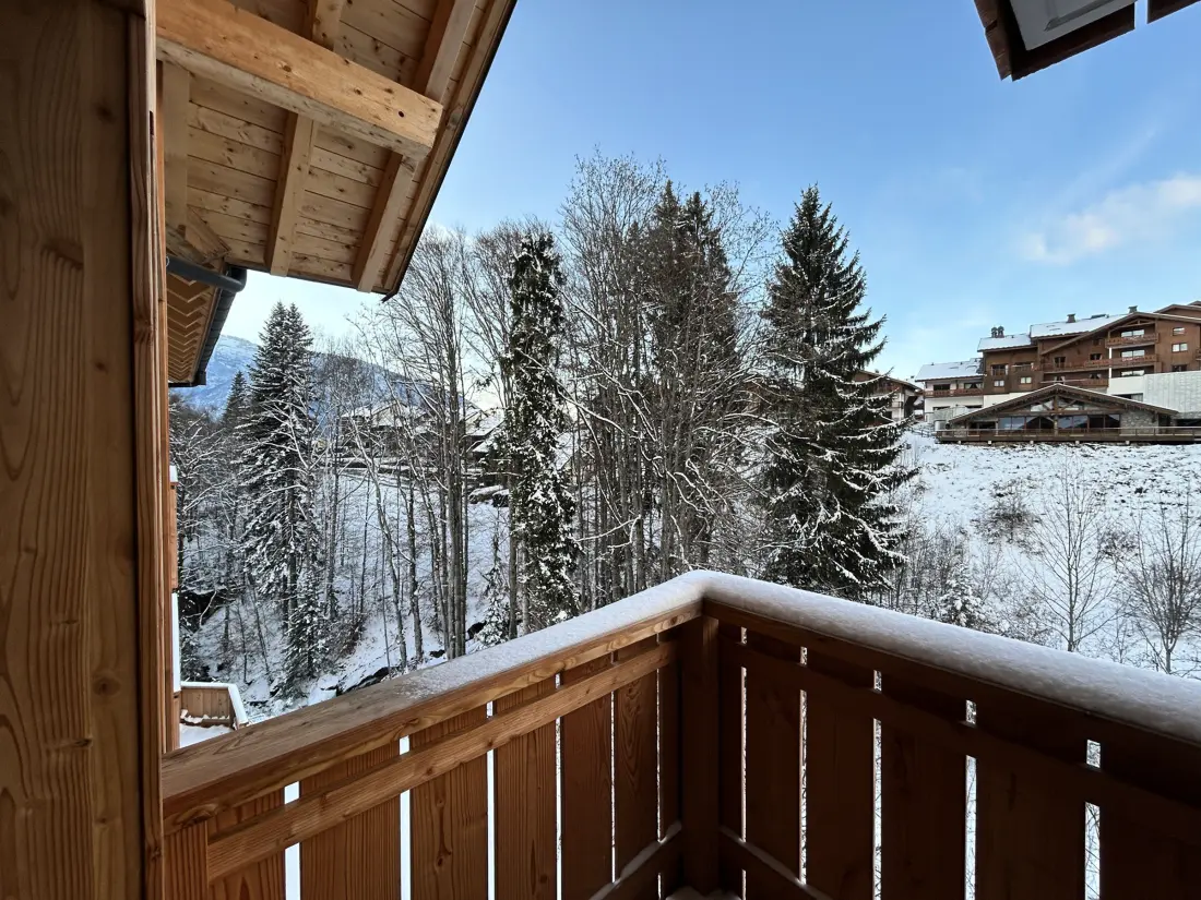 Location de Vacances Les Carroz d'Arâches 171
